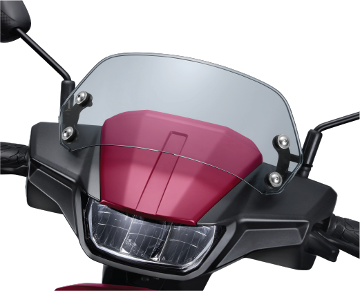 e-Access Meter Visor