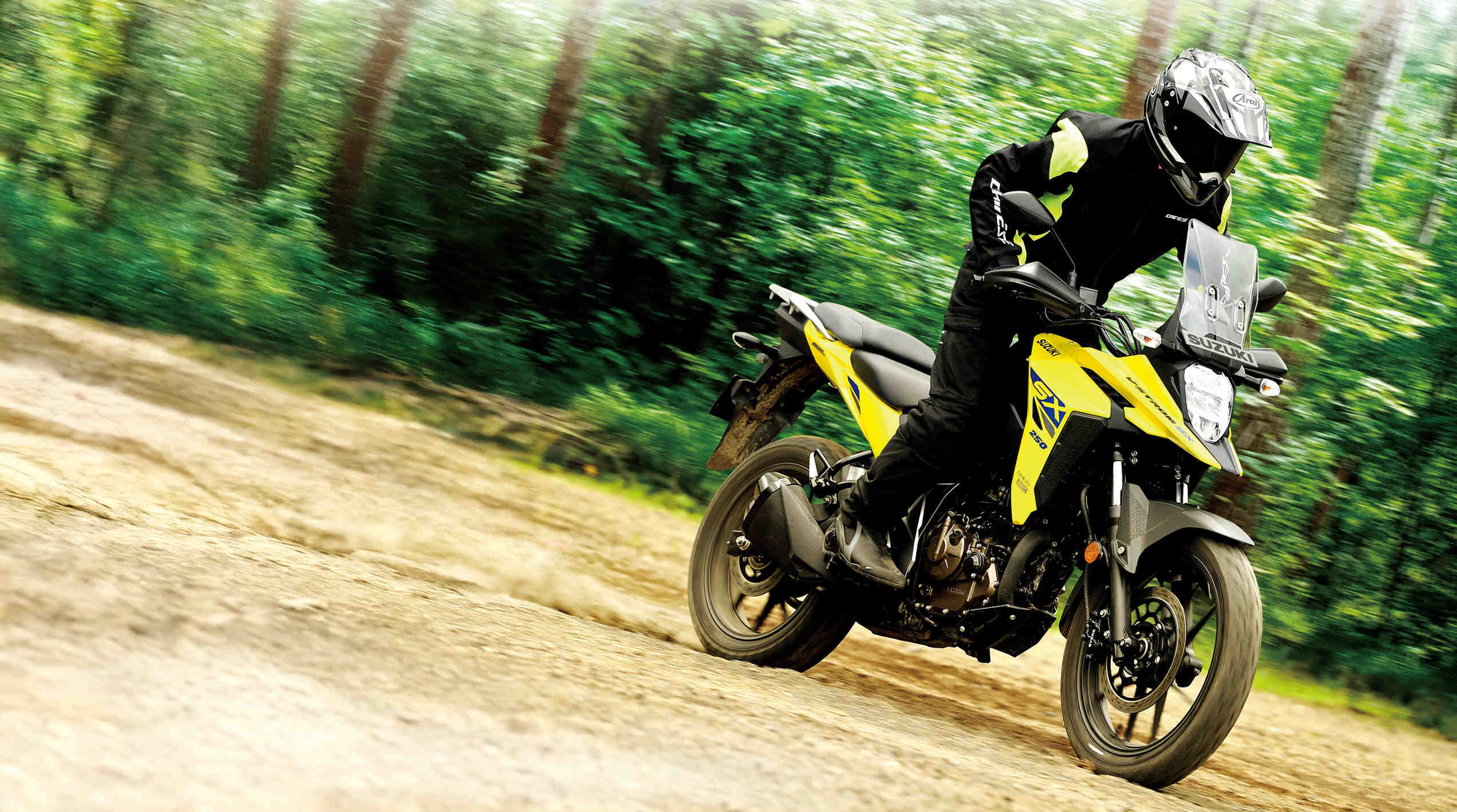 Suzuki V-Strom SX